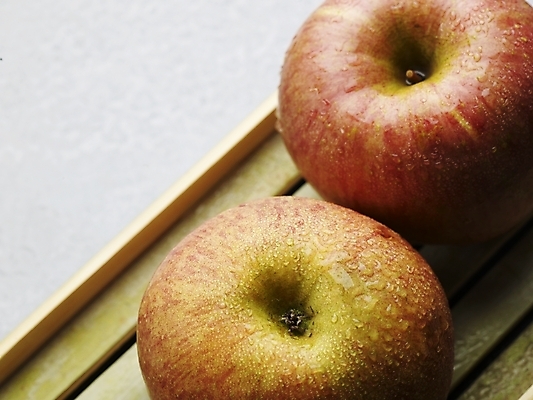 포토 JPG 스튜디오촬영 식물 음식 과일 쟁반 실내 근접촬영 사람없음 농작물 하이앵글 두개 신선 사과 받침대 국내포토 뷰포인트 2 농업 내부 파일형식