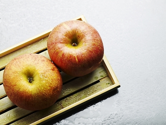 포토 JPG 스튜디오촬영 식물 음식 과일 쟁반 실내 근접촬영 사람없음 농작물 하이앵글 두개 신선 사과 받침대 국내포토 뷰포인트 2 농업 내부 파일형식