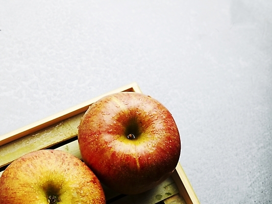 포토 JPG 스튜디오촬영 식물 음식 과일 쟁반 실내 근접촬영 사람없음 농작물 하이앵글 두개 신선 사과 받침대 국내포토 뷰포인트 2 농업 내부 파일형식