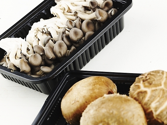 포토 JPG 스튜디오촬영 그릇 음식 식재료 실내 사람없음 가로 농작물 버섯 신선 플라스틱 식용버섯 표고버섯 느타리버섯 포장용기 국내포토 식기 농업 재질 포장재료 파일형식