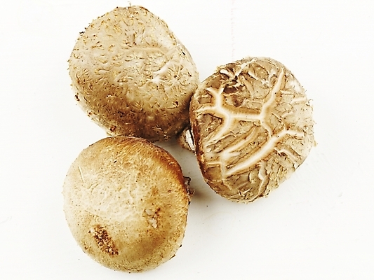 포토 JPG 스튜디오촬영 음식 식재료 실내 누끼 사람없음 가로 농작물 버섯 신선 식용버섯 표고버섯 국내포토 농업 파일형식