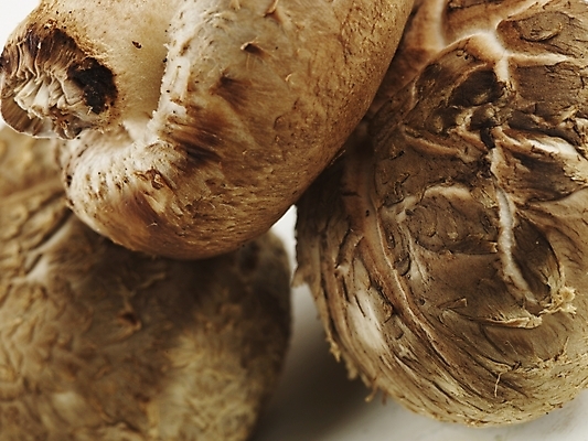 포토 JPG 스튜디오촬영 음식 식재료 실내 근접촬영 사람없음 가로 농작물 버섯 신선 식용버섯 양송이 표고버섯 국내포토 뷰포인트 농업 파일형식