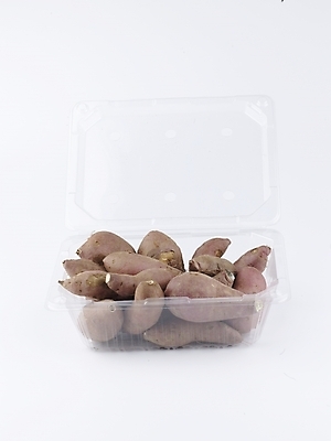 포토 JPG 스튜디오촬영 그릇 음식 채소 식재료 뿌리채소 실내 사람없음 농작물 여러개 신선 플라스틱 고구마 포장용기 국내포토 식기 다수 농업 재질 포장재료 파일형식