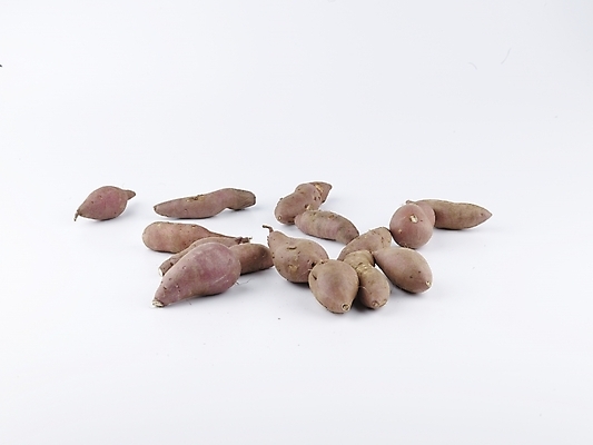 포토 JPG 스튜디오촬영 음식 채소 식재료 뿌리채소 실내 누끼 사람없음 농작물 여러개 신선 고구마 국내포토 다수 농업 파일형식