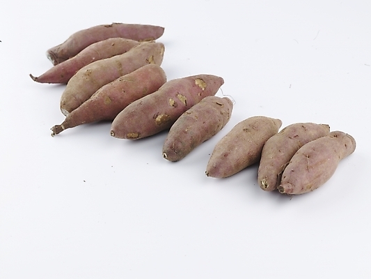 포토 JPG 스튜디오촬영 음식 채소 식재료 뿌리채소 실내 누끼 사람없음 가로 농작물 여러개 신선 고구마 국내포토 다수 농업 파일형식