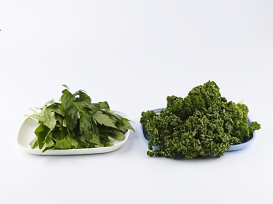 포토 JPG 스튜디오촬영 접시 음식 채소 식재료 쟁반 실내 파슬리 누끼 사람없음 가로 초록색 농작물 신선 받침대 신선초 국내포토 식기 컬러 농업 파일형식