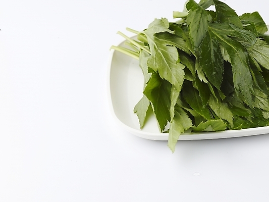 포토 JPG 스튜디오촬영 접시 음식 채소 식재료 쟁반 실내 사람없음 가로 초록색 농작물 신선 받침대 신선초 국내포토 식기 컬러 농업 파일형식