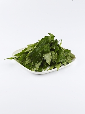 포토 JPG 스튜디오촬영 접시 음식 채소 식재료 쟁반 실내 누끼 사람없음 세로 초록색 농작물 신선 받침대 신선초 국내포토 식기 컬러 농업 파일형식