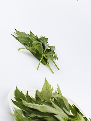 포토 JPG 스튜디오촬영 접시 음식 채소 식재료 쟁반 실내 사람없음 세로 초록색 농작물 신선 받침대 신선초 국내포토 식기 컬러 농업 파일형식