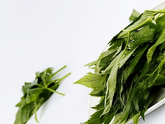 포토 JPG 스튜디오촬영 접시 음식 채소 식재료 쟁반 실내 사람없음 가로 초록색 농작물 신선 받침대 신선초 국내포토 식기 컬러 농업 파일형식