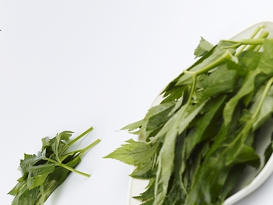 포토 JPG 스튜디오촬영 접시 음식 채소 식재료 쟁반 실내 사람없음 가로 초록색 농작물 신선 받침대 신선초 국내포토 식기 컬러 농업 파일형식