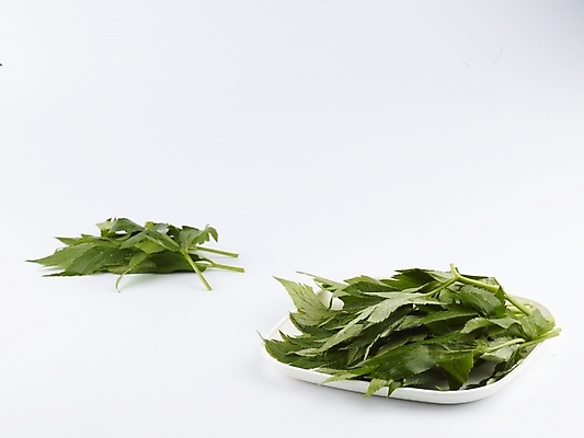 포토 JPG 스튜디오촬영 접시 음식 채소 식재료 쟁반 실내 누끼 사람없음 가로 초록색 농작물 신선 받침대 신선초 국내포토 식기 컬러 농업 파일형식