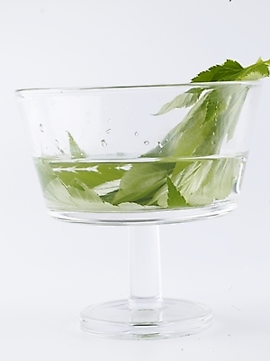 포토 JPG 스튜디오촬영 그릇 음식 채소 식재료 실내 사람없음 세로 초록색 물 농작물 신선 유리그릇 신선초 국내포토 자연요소 식기 컬러 농업 유리 파일형식