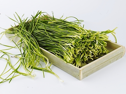 포토 JPG 스튜디오촬영 그릇 접시 음식 채소 식재료 실내 근접촬영 사람없음 초록색 농작물 신선 부추 국내포토 식기 뷰포인트 컬러 농업 파일형식