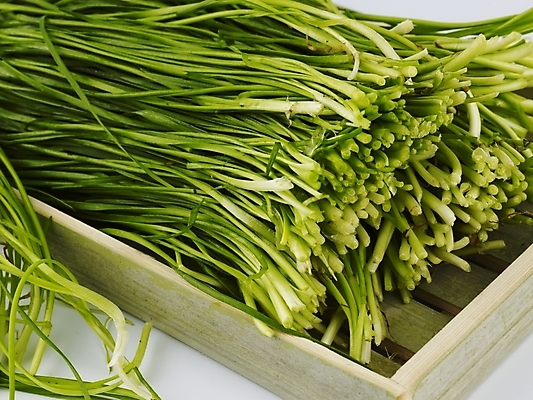 포토 JPG 스튜디오촬영 그릇 접시 음식 채소 식재료 실내 근접촬영 사람없음 초록색 농작물 신선 부추 국내포토 식기 뷰포인트 컬러 농업 파일형식