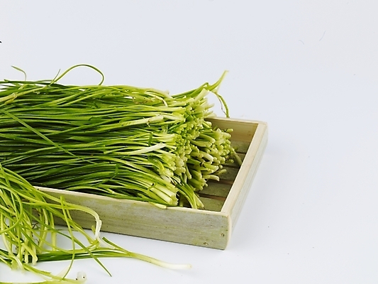 포토 JPG 스튜디오촬영 그릇 접시 음식 채소 식재료 실내 근접촬영 사람없음 초록색 농작물 신선 부추 국내포토 식기 뷰포인트 컬러 농업 파일형식
