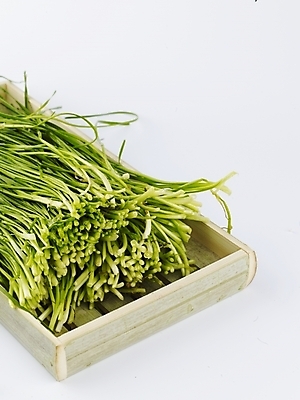 포토 JPG 스튜디오촬영 그릇 접시 음식 채소 식재료 실내 근접촬영 사람없음 초록색 농작물 신선 부추 국내포토 식기 뷰포인트 컬러 농업 파일형식