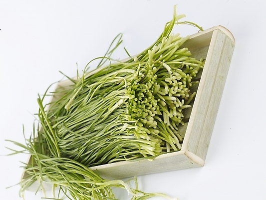 포토 JPG 스튜디오촬영 그릇 접시 음식 채소 식재료 실내 근접촬영 사람없음 초록색 농작물 신선 부추 국내포토 식기 뷰포인트 컬러 농업 파일형식