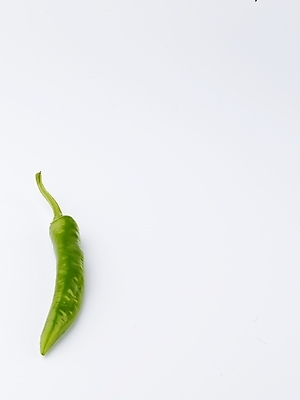 포토 JPG 스튜디오촬영 음식 채소 식재료 고추 실내 사람없음 초록색 농작물 한개 신선 풋고추 국내포토 1 컬러 농업 내부 파일형식