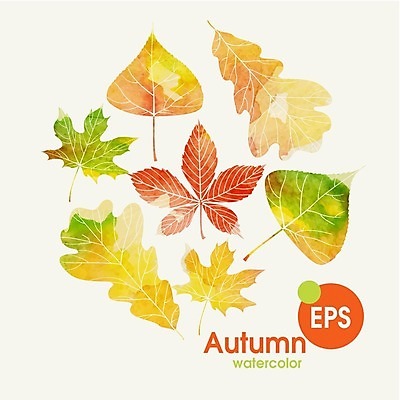 EPS 해외이미지 식물 백그라운드 단풍 잎 일러스트 자연 수채화 사람없음 빨간색 초록색 노란색 가을 밤 해외202004 해외일러스트 계절 컬러 견과류 생태계 파일형식 벡터