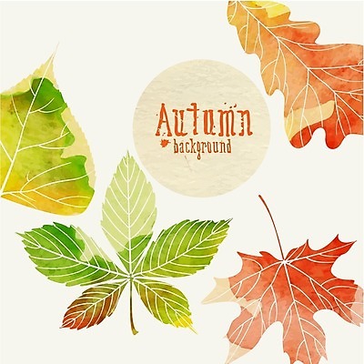 EPS 해외이미지 식물 백그라운드 단풍 잎 일러스트 자연 수채화 사람없음 빨간색 초록색 노란색 가을 밤 해외202004 해외일러스트 계절 컬러 견과류 생태계 파일형식 벡터