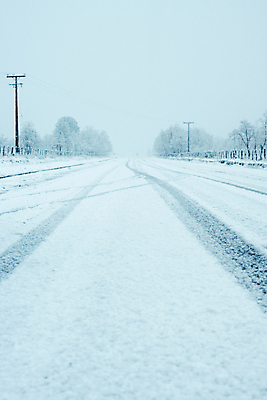 포토 JPG 해외이미지 나무 식물 계절 공원 도로 백그라운드 겨울 밭 자연 하늘 날씨 풍경 사람없음 야외 목재 초록색 파란색 빛 태양 평화 환경 냉동 얼음 추위 안개 흰색 나뭇가지 시골 숲 12월 서리 장면 눈보라 1월 내추럴 2월 폭설 눈내림 해외202004 해외포토 자연요소 공공시설 길 컬러 컨셉 농업 재료 교통시설 눈_날씨 날짜 자연재해 생태계 파일형식