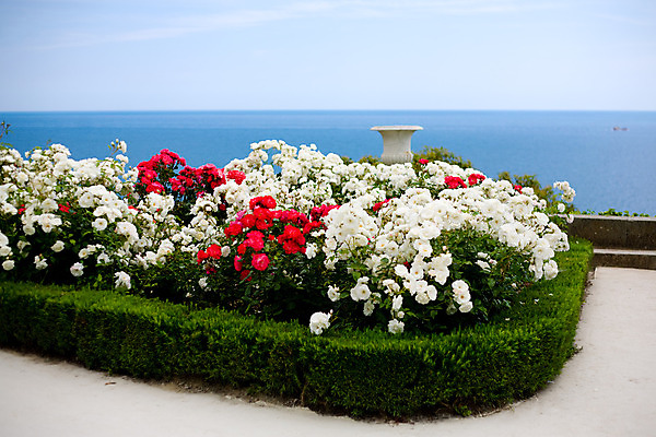 포토 JPG 해외이미지 식물 계절 꽃 문화 바다 여행 잎 꽃무늬 자연 하늘 휴가 기술 잔디 사람없음 야외 빨간색 초록색 물 파란색 장미 머리 정원 침묵 봄 활발 벚꽃 흰색 침대 시골집 원예 장면 정중 파라다이스 세련 해외202004 해외포토 자연요소 컬러 가구 컨셉 무늬 주택 취미 신체부위 소리 생태계 파일형식