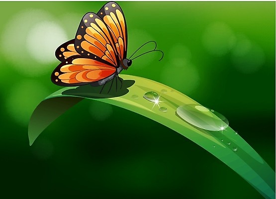 EPS 해외이미지 클립아트 식물 공원 나비 곤충 잎 날개 오렌지 일러스트 자연 아침 생물 야외 그래픽 초록색 물 머리 정원 검은색 새벽 젖음 물방울 액체 이슬 흉부 만화 빗방울 속도 그림 장면 내추럴 복부 해외202004 해외일러스트 주간 자연요소 동물 공공시설 컬러 과일 신체부위 비_날씨 호흡기관 생태계 파일형식 벡터