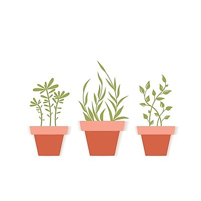 EPS 해외이미지 나무 식물 디자인 꽃 화분 화초 줄기 백그라운드 컨셉 잎 꽃무늬 일러스트 자연 주택 실내 내부 그래픽 장식 초록색 세트 사무실 정원 봄 성장 흰색 신선 플랫 냄비 만화 수집 심볼 오브젝트 사인 원예 내추럴 고립 심기 엘리먼트 해외202004 해외일러스트 계절 컬러 무늬 비즈니스 모션 취미 건물 솥 생태계 파일형식 벡터