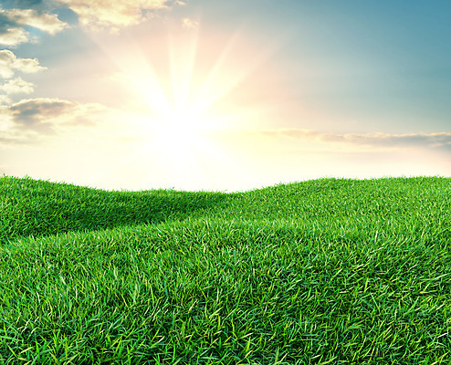 포토 JPG 해외이미지 식물 하늘 날씨 풍경 잔디 초원 사람없음 야외 초록색 맑음 봄 전원 해외202004 해외포토 계절 컬러 전기에너지 파일형식