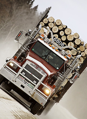 포토 JPG 해외이미지 산업 겨울 풍경 사람없음 세로 디지털 사진촬영 시골 그림 장면 해외202004 해외포토 계절 촬영 파일형식