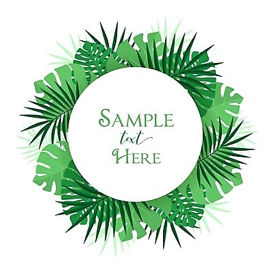 EPS 해외이미지 나무 식물 템플릿 디자인 계절 백그라운드 잎 꽃무늬 패턴 일러스트 자연 벽지 추상 휴가 프레임 손바닥 미술 그래픽 장식 초록색 정원 봄 나뭇가지 신용카드 그림 유기농 원예 하와이 초대 비네팅 내추럴 고립 월계수 이국적 파라다이스 알로하 국경 해외202004 해외일러스트 손 웰빙 꽃 컬러 무늬 문화예술 촬영기법 취미 금융 미국 인사 생태계 파일형식 벡터