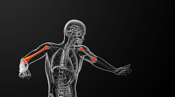 포토 JPG 해외이미지 신체 해부 뼈 건강 미술 사람 사람없음 파란색 컴퓨터 3D 검은색 생물학 팔 해외202004 해외포토 교육 컬러 의학 문화예술 신체부위 전자제품 디지털합성 파일형식