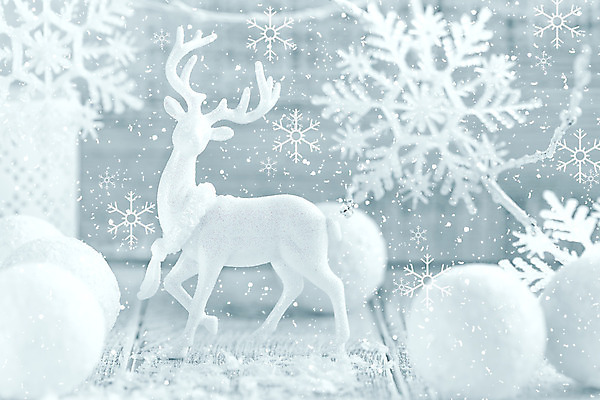 포토 JPG 해외이미지 계절 백그라운드 크리스마스 겨울 공 사슴 새로움 기념 매달리기 사람없음 장식 빛 반짝임 축제 장식볼 흰색 눈송이 우아함 은색 12월 해외202004 해외포토 기념일 컬러 컨셉 포유류 모션 눈_날씨 날짜 파일형식