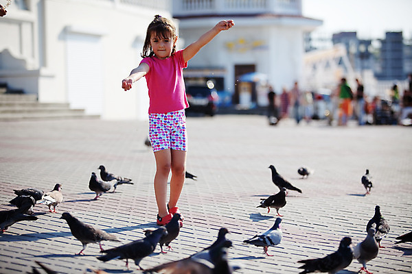 포토 JPG 해외이미지 동물 라이프스타일 여자 어린이 포즈 모션 자연 놀이 조류 거리 한명 사람 걷기 도시 작음 타일 비둘기 정사각형 타운 결백 수유 초보 해외202004 해외포토 도형 1 생활 크기 생태계 파일형식