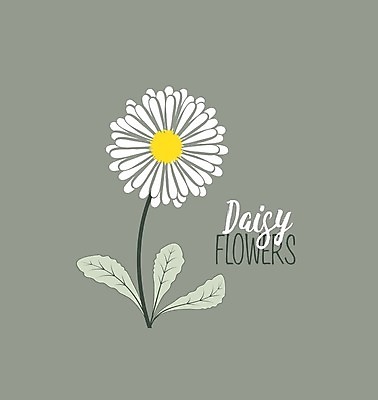 EPS 해외이미지 식물 디자인 계절 꽃잎 꽃 행복 백그라운드 컨셉 잎 꽃무늬 패턴 일러스트 자연 벽지 휴가 발렌타인데이 미술 풍경 초원 그래픽 장식 초록색 여름 노란색 유행 환경 정원 봄 벚꽃 흰색 만화 천 허브 그림 에코 데이지 꽃가루 내추럴 엘리먼트 캐모마일 해외202004 해외일러스트 감정 컬러 무늬 데이이벤트 문화예술 직물 가루 생태계 파일형식 벡터