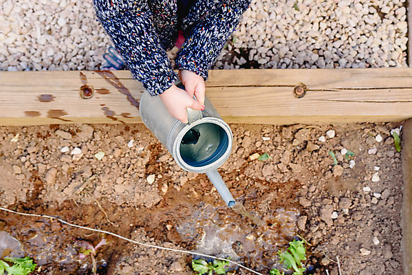 포토 JPG 해외이미지 식물 백인 여자 행복 어린이 가족 놀이 사람 취미 야외 정원 맑음 기쁨 물뿌리개 흰색 아기 물주기 원예 정원가꾸기 원예사 해외202004 해외포토 서양인 직업 감정 컬러 관계 모션 날씨 파일형식