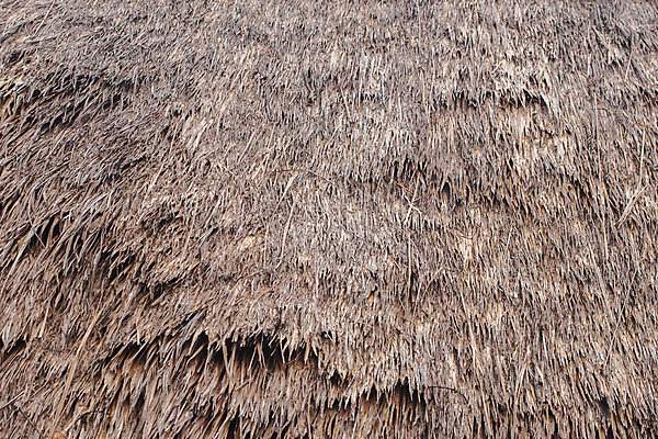 포토 JPG 해외이미지 전통 디자인 백그라운드 잎 패턴 건축양식 자연 지붕 주택 건조 사람없음 목재 갈색 수확 나뭇가지 시골 오두막 질감 밀짚 원시시대 부족 내추럴 볏집 옛날 해외202004 해외포토 나무 식물 건축 컬러 컨셉 무늬 농업 재료 건물 역사 짚 생태계 파일형식