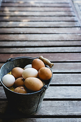 포토 JPG 해외이미지 음식 건강 사람없음 갈색 계란 신선 상품 양동이 유기농 날것 내추럴 해외202004 해외포토 웰빙 컬러 알 파일형식