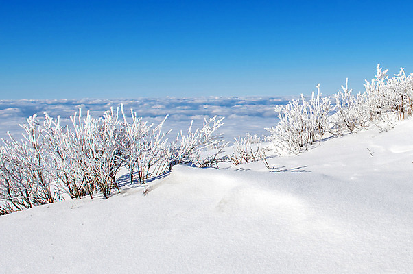 포토 JPG 해외이미지 나무 백그라운드 겨울 자연 하늘 산 서울 한국 풍경 사람없음 태양 맑음 추위 사찰 언덕 눈내림 해외202004 해외포토 자연요소 식물 계절 아시아 종교건축 날씨 눈_날씨 생태계 파일형식