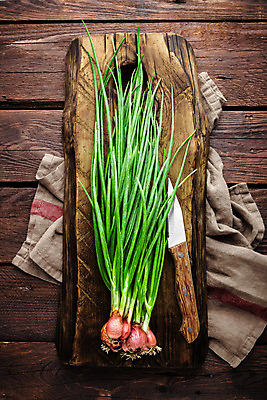 포토 JPG 해외이미지 식물 음식 줄기 백그라운드 잎 다이어트 채소 재료 자연 탁자 양파 건강 요리 사람없음 목재 초록색 주방 봄 샐러드 흰색 시골 신선 칼 자르기 다발 유기농 날것 슬라이스 부추 파 비타민 내추럴 쪽파 숙성 채식주의자 샬롯 개조 해외202004 해외포토 나무 웰빙 계절 컬러 가구 모션 생태계 채식 영양소 파일형식