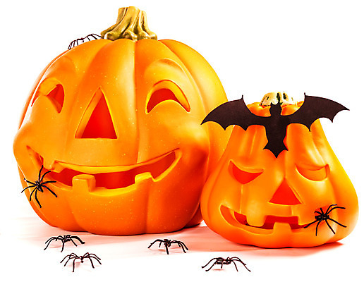 포토 JPG 해외이미지 전통 계절 음식 백그라운드 채소 호박 미소 웃음 사람없음 장식 빛 노란색 파티 할로윈 가을 흰색 등불 축하 표현 무서움 오브젝트 거미 박쥐 10월 잭오랜턴 호러 오싹 해외202004 해외포토 감정 컬러 곤충 컨셉 포유류 조명 표정 이벤트 날짜 공포 파일형식