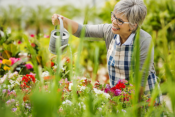 포토 JPG 해외이미지 식물 직업 여자 행복 중년 한명 사람 취미 정원 앞치마 꽃집 물주기 원예 정원가꾸기 온실 중년여자한명만 해외202004 해외포토 1 감정 모션 성인 상점 여자한명만 중년여자만 파일형식