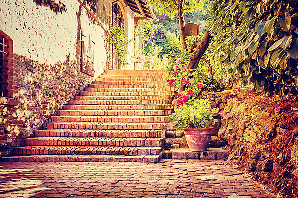 포토 JPG 해외이미지 전통 디자인 외관 꽃 유럽 벽 여행 건축양식 휴가 벽돌 거리 주택 사람없음 야외 건물 장식 여름 계단 마을 맑음 이탈리아 낭만 수확 골동품 가을 시골 도시 보행로 빌라 복고 타운 안뜰 옛날 스타일 해외202004 해외포토 식물 건축물 계절 건축 나라 길 컨셉 농업 날씨 파일형식