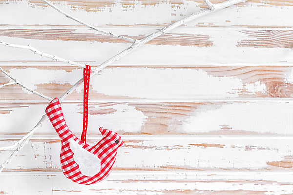 포토 JPG 해외이미지 나무 디자인 배너 벽 백그라운드 크리스마스 겨울 패턴 벽지 조류 날씨 휴가 새로움 기념 매달리기 선물 사람없음 목재 장식 빨간색 빛 축제 산책로 장식볼 수확 골동품 흰색 나뭇가지 시골 인사 판넬 신용카드 우아함 정상 12월 연도 심볼 해외202004 해외포토 식물 동물 계절 기념일 길 컬러 컨셉 무늬 농업 재료 모션 금융 예절 날짜 파일형식