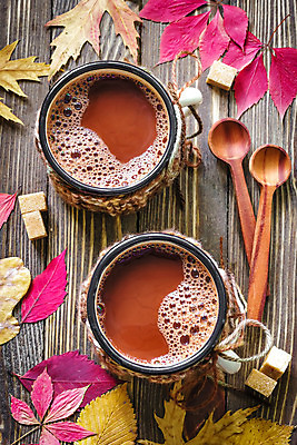 포토 JPG 해외이미지 커피 음료 음식 잎 탁자 디저트 따뜻함 사람없음 컵 갈색 초콜릿 숟가락 거품 머그컵 가을 뜨거움 액체 달콤 코코아 따뜻한음료 카카오 맛있는 해외202004 해외포토 식물 식기 계절 컬러 가구 수저 맛 파일형식