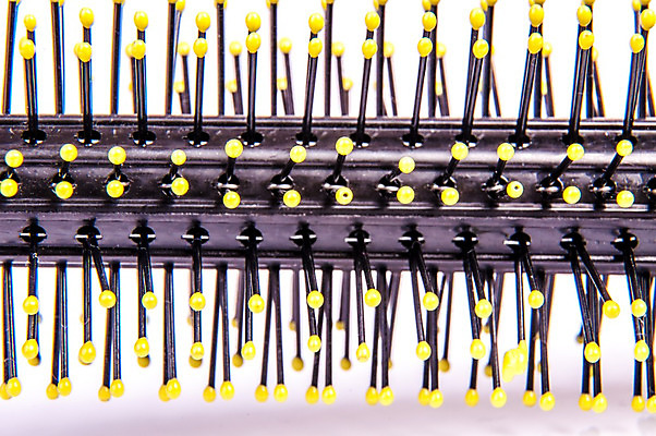 포토 JPG 해외이미지 1 헤어스타일 백그라운드 신체 건강 손잡이 사람 사람없음 가로 약 노란색 유행 주방 스파 장비 흰색 공구 붓 머리빗 업무 플라스틱 디자이너 미용사 벌 심볼 오브젝트 싱글 날카로움 꿀 벌집 고립 돌봄 밀랍 왁스 위생관리 이발사 철강 스타일 해외202004 해외포토 직업 컬러 곤충 의학 모션 재질 관리 도구 미용용품 작업 파일형식