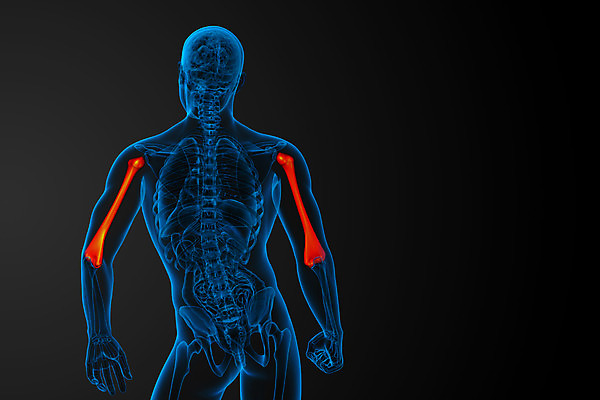 포토 JPG 해외이미지 신체 해부 뼈 건강 미술 사람 사람없음 파란색 컴퓨터 3D 검은색 생물학 팔 해외202004 해외포토 교육 컬러 의학 문화예술 신체부위 전자제품 디지털합성 파일형식
