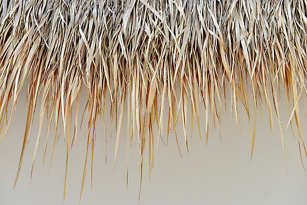 포토 JPG 해외이미지 건축물 백그라운드 패턴 자연 지붕 날씨 추상 건조 사람없음 야자수 갈색 볏짚 유기농 질감 밀짚 짜임 열대기후 해외202004 해외포토 나무 웰빙 건축 컬러 무늬 짚 생태계 파일형식