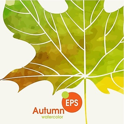 EPS 해외이미지 식물 백그라운드 단풍 잎 일러스트 자연 수채화 사람없음 초록색 노란색 가을 해외202004 해외일러스트 계절 컬러 생태계 파일형식 벡터